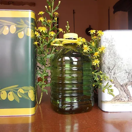 Terragalana Lantgård