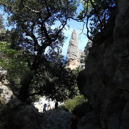 בית חווה Terragalana