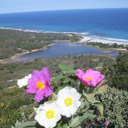 בית חווה Terragalana