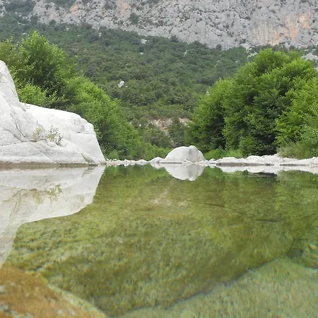 Terragalana *